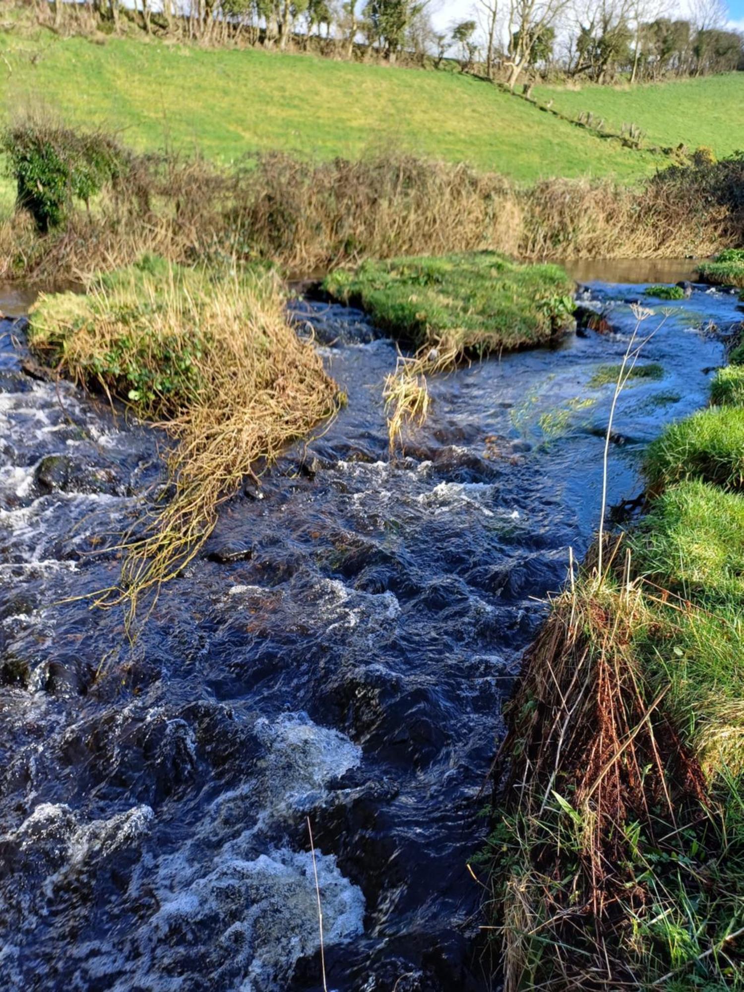Little River Glamping Ballymoney Exteriér fotografie